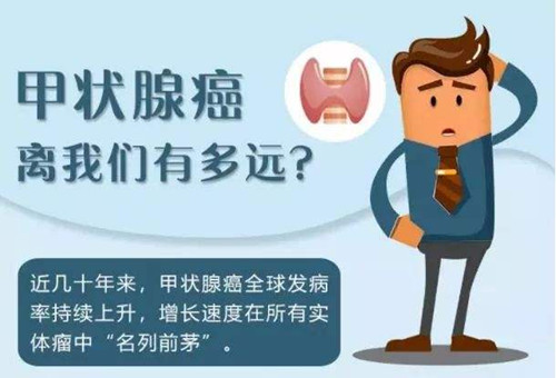 timg_副本.jpg